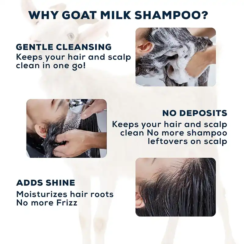 shikakai paste,shikakai powder,shampoo for hair fall,hair mask,goat milk shampoo